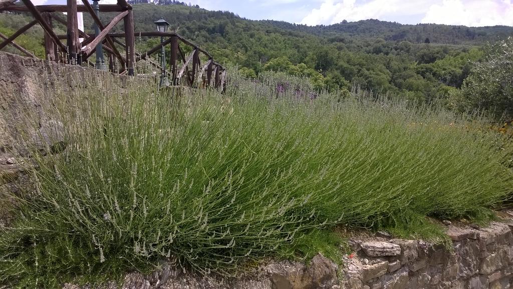 Piccolo Relais Galletto Di Marzo Spa E Relax Solo Per Due Paciano Eksteriør billede